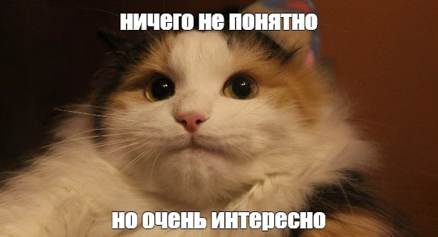 Гипотеза исследования в диссертации – как ее написать?